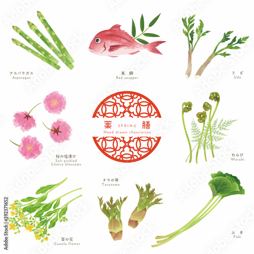 春の薬膳–1 / 手描きの食材イラスト
