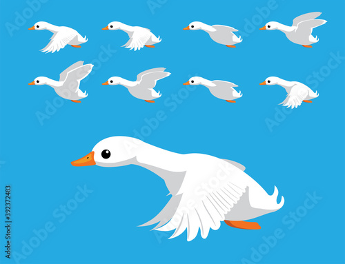 Pekin White Duck Flying Animation Sequence Cartoon Vector