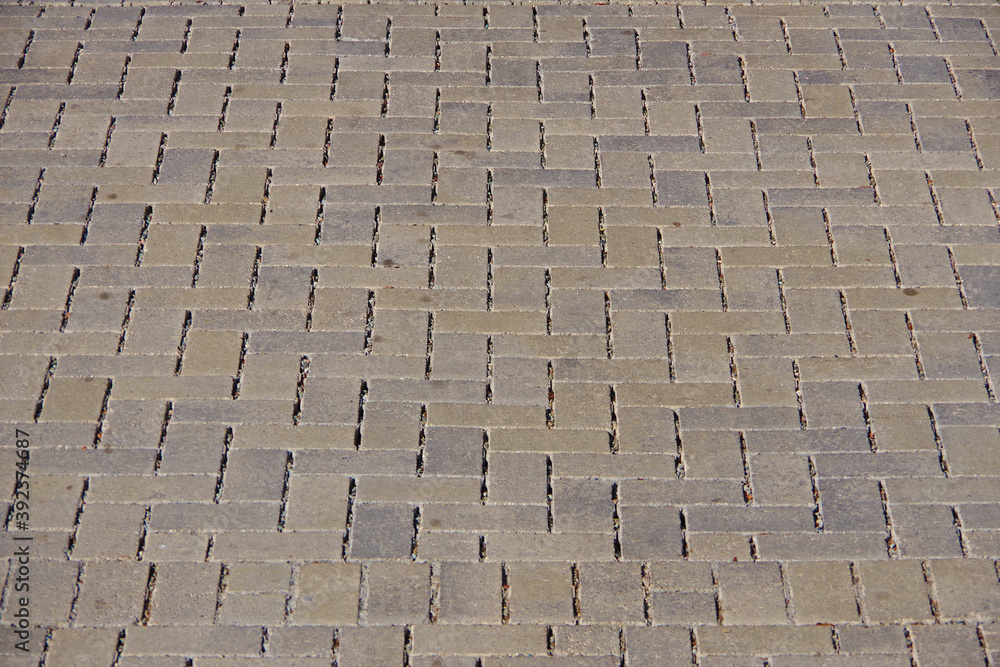 Fototapeta premium Full frame close-up view of a pavement pattern of concrete bricks