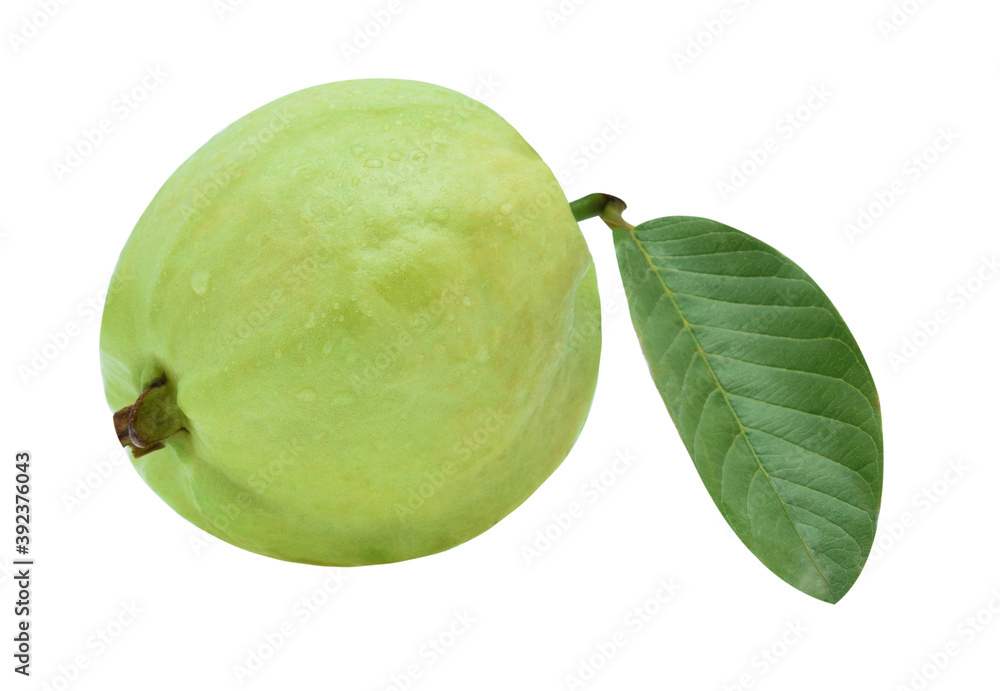 Water drop, Fresh guava with leaf isolated on white background. Water drop, Fresh guava with leaf isolated on white background.