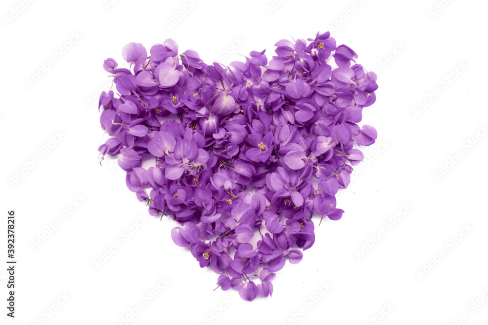 Heart made with petal of purple flowers on white Heart made with petal of purple flowers on white