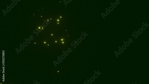 Floating Fairies Fairy Light Fire Flies Hover Before Viewer Moving