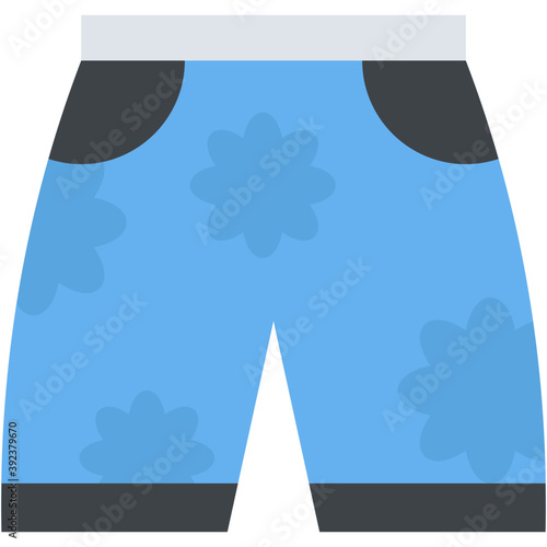 
A menswear shorts, knicker flat icon
