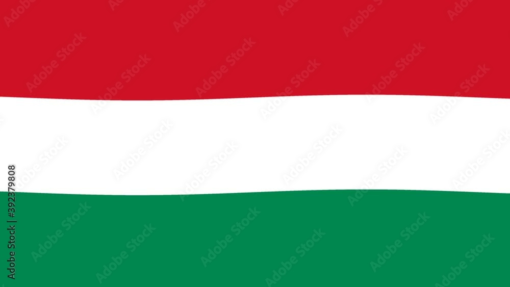Waving Full Frame Hungarian Hungary Flag Waving Full Frame Hungarian Hungary Flag