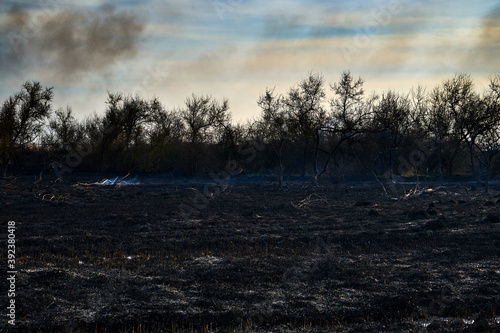 Canvas-taulu Wildfires. Burning estuary. Fire in the steppe.