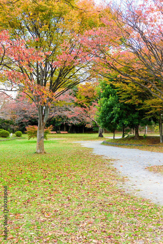 Naklejka premium 秋 仙台の小さな公園