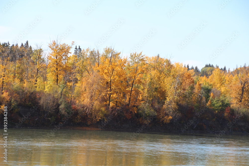 Obraz premium Autumn On The Riverbank, Government House Park, Edmonton, Alberta