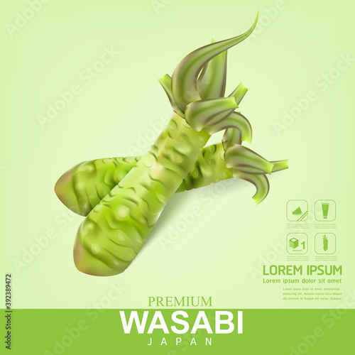 wasabi root vector