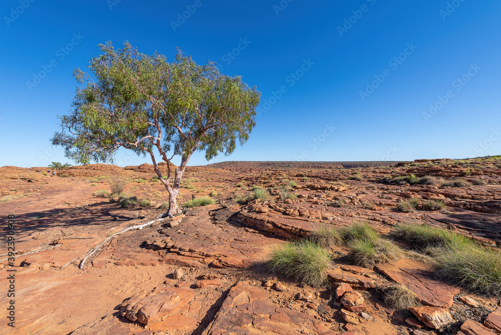 The remote dry landscape in Kings Canyon, Northern Territory, Australia