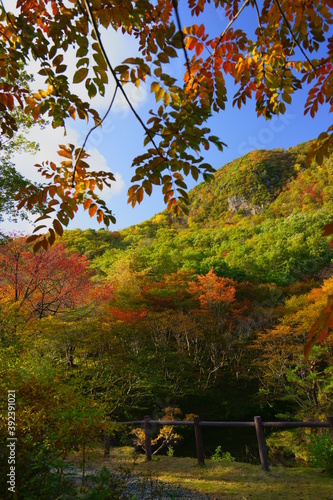 色づく紅葉山