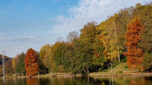 Obraz na płótnie Baumreihe am See- Herbstland w salonie