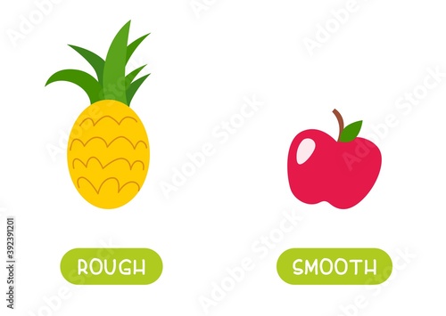 ROUGH and SMOOTH antonyms word card vector template. Flashcard for english language learning. Opposites concept. Different surface types like example pineapple and apple