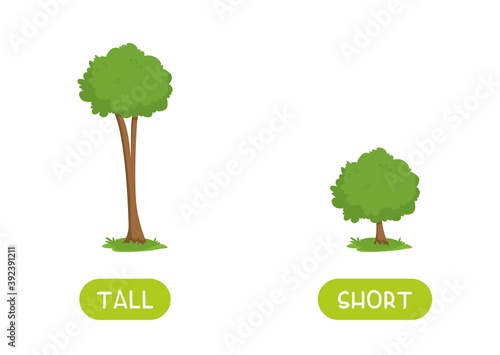 TALL and SHORT antonyms word card vector template. Flashcard for english language learning. Opposites concept. Big tree and a small bush