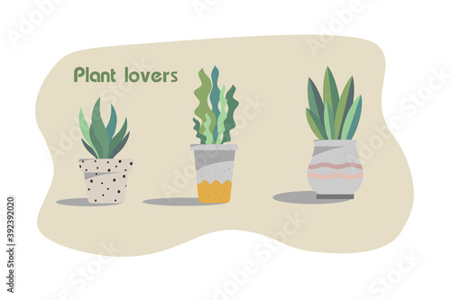 Vector set of potted plants for plant lovers
