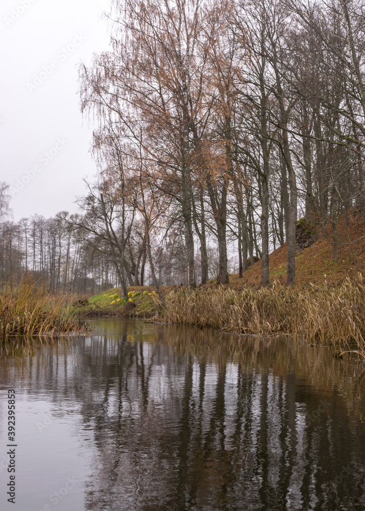 autumn landscape gray and cloudy day, river bank with bare trees and bushes, bank reflection in river water autumn landscape gray and cloudy day, river bank with bare trees and bushes, bank reflection in river water