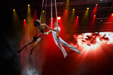 Aerialist perform live in the show.