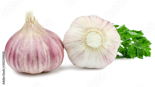 Garlic on white background isolated