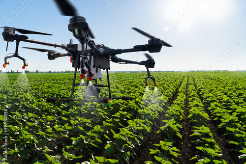 Fotografie, Tablou Drone sprayer flies over the agricultural field