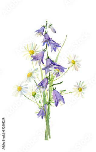 Watercolor bouquet of blue bell flowers and white daisies