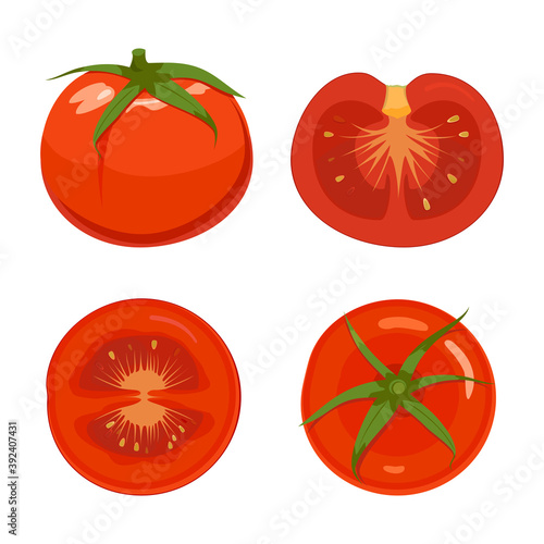 Tomato. Design vector elements isolated. Set of different tomatos.