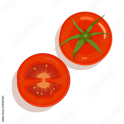 Tomato. Design vector elements isolated. Set of different tomatos.