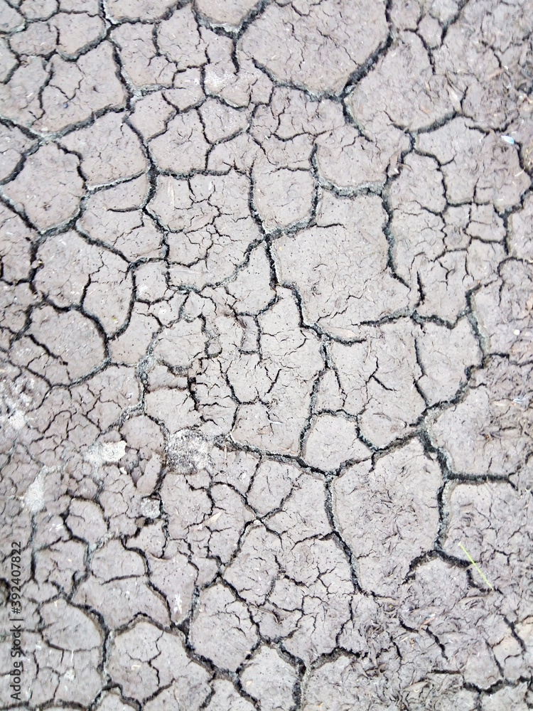Earth with dry cracked earth texture background Earth with dry cracked earth texture background