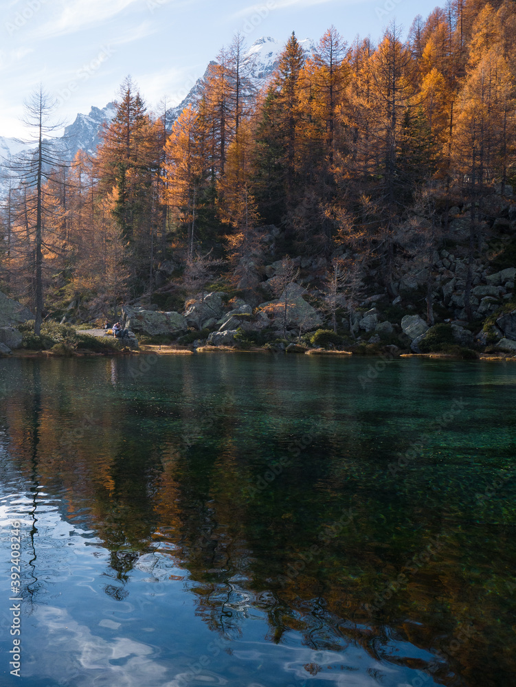 Fototapeta premium autumn trees reflected in water