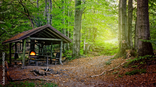 Tourist shelter hidden in beech woods. Fireplace under roof shelter in forest mysterious area.