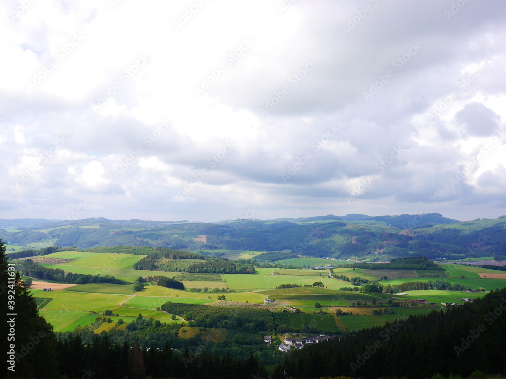 Naklejka premium landscape with fields