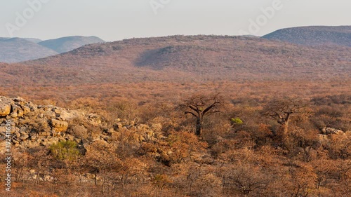 Slow linear timelapse of dry African landscape with scattered Baobabs, rocky hills and distant mountains against blue sky with scattered clouds as sun sets, dip to black, Nwanedi, Limpopo, South Afric