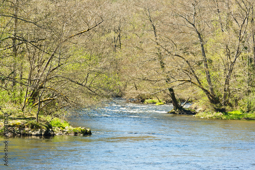 Gorges de Chouvigny  River Sioule  Auvergne  France