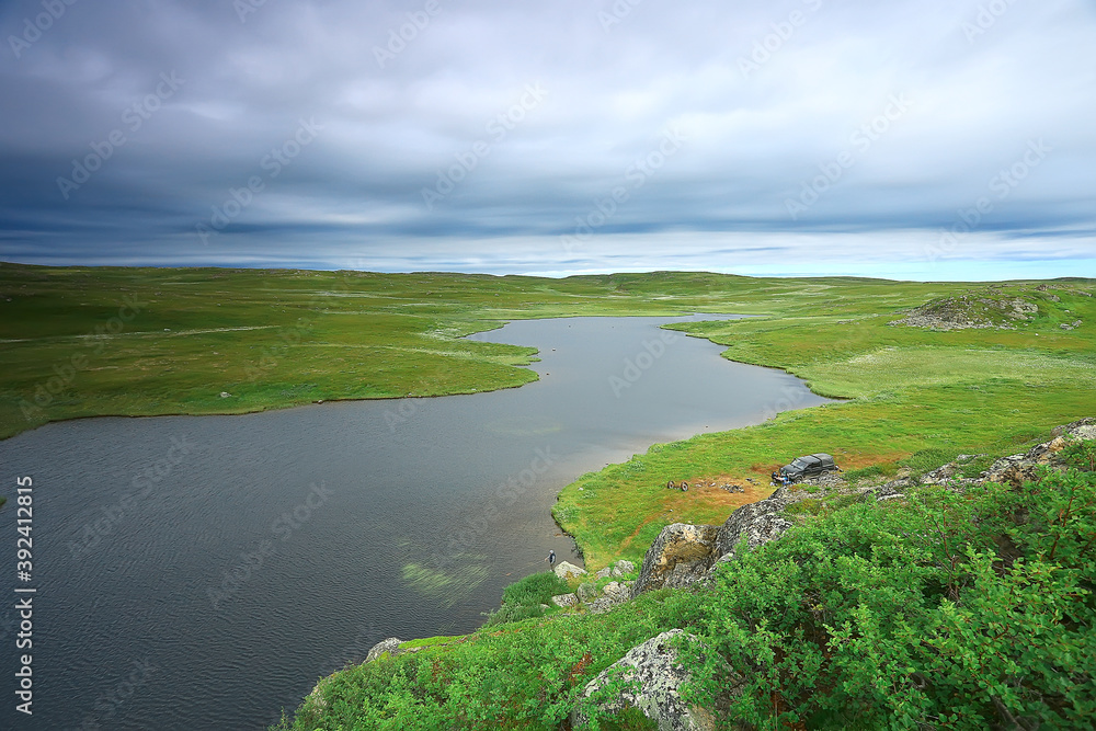 landscape tundra / summer landscape in the north tundra, moss, ecosystem landscape tundra / summer landscape in the north tundra, moss, ecosystem