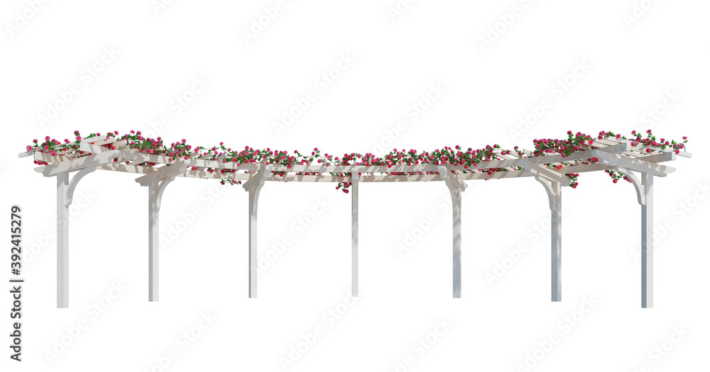 3d Render Ivy Plants Isolated on white 3d Render Ivy Plants Isolated on white