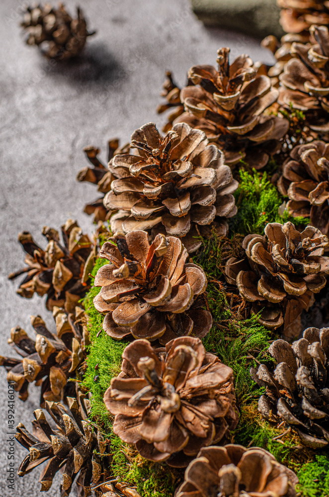 Christmas wreaths of cones and leaves Christmas wreaths of cones and leaves
