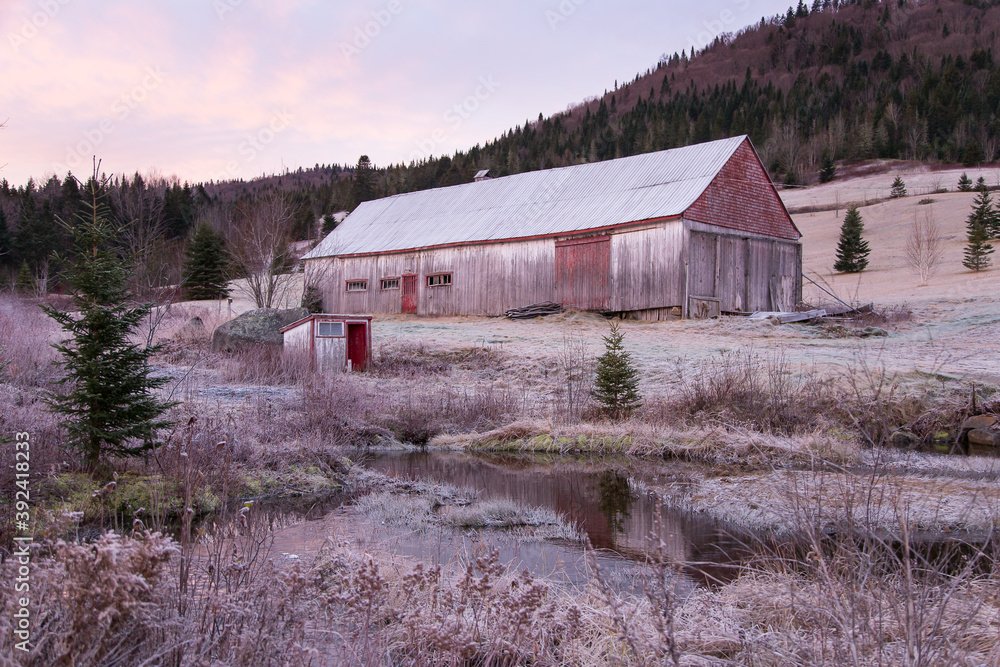 Old barn and shed on hilly land in the Laurentian mountains at dawn, Tewksbury, Quebec, Canada