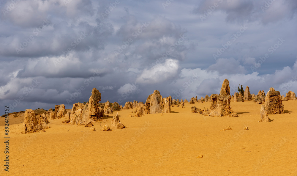 landscape in the desert