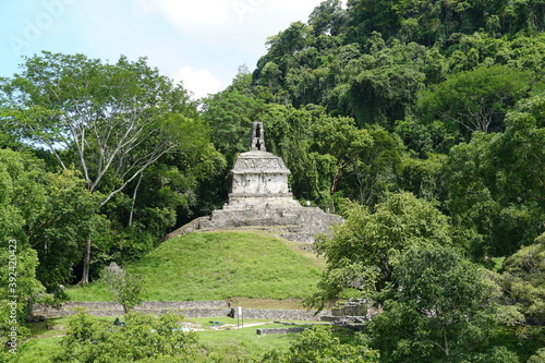 palenque, mexico, forest, messico, chiapas, nature, , environment, traveling, landscape, temples, pyramid, maya, ancient, buildings, tree