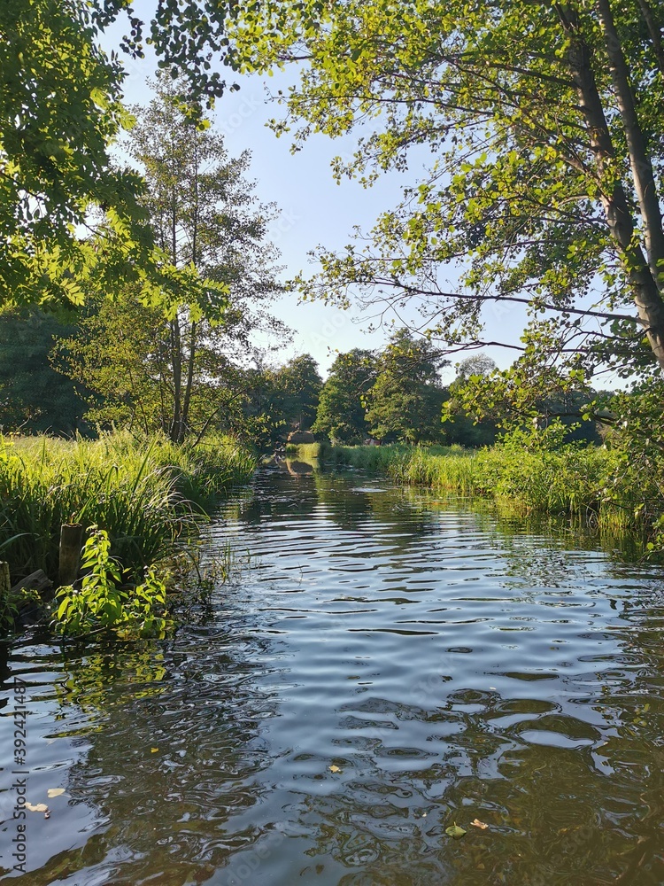 Obraz premium Im Spreewald