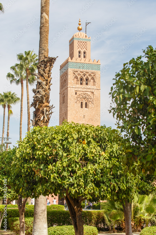 Fototapeta premium Marokko, koningssteden, marrakesh, Djemaa el Fna, 