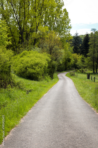 Small road in rural Germany surrounded by green trees on a bright spring day near Potzbach, Germany.