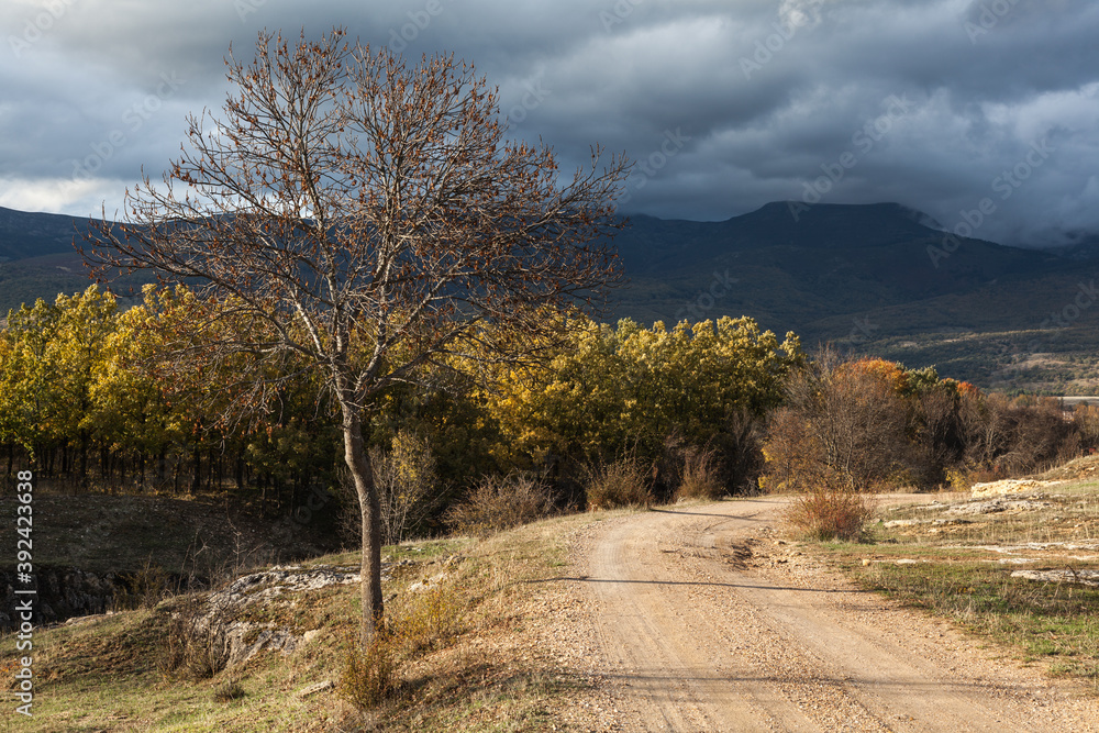 Fototapeta premium Paisaje, bosques y lagos de Rascafría en la sierra de Madrid