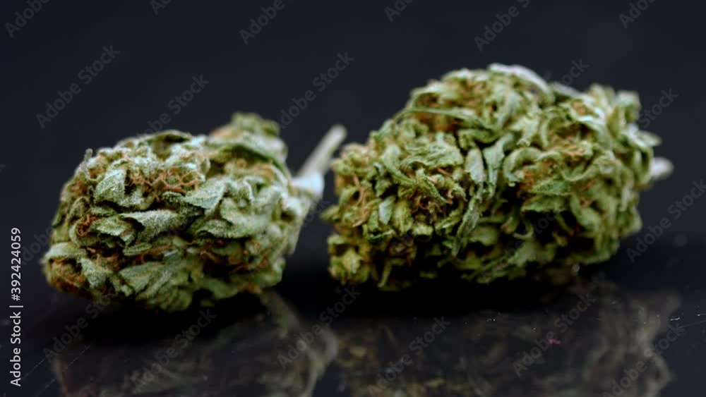 Dried medical Cannabis Buds. Marijuana Plant, fucus pull, close up Dried medical Cannabis Buds. Marijuana Plant, fucus pull, close up
