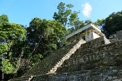 Bonampak, Yaxchilán, mexico, forest, messico, chiapas, nature, , environment, traveling, landscape, temples, pyramid, maya, ancient, buildings, tree