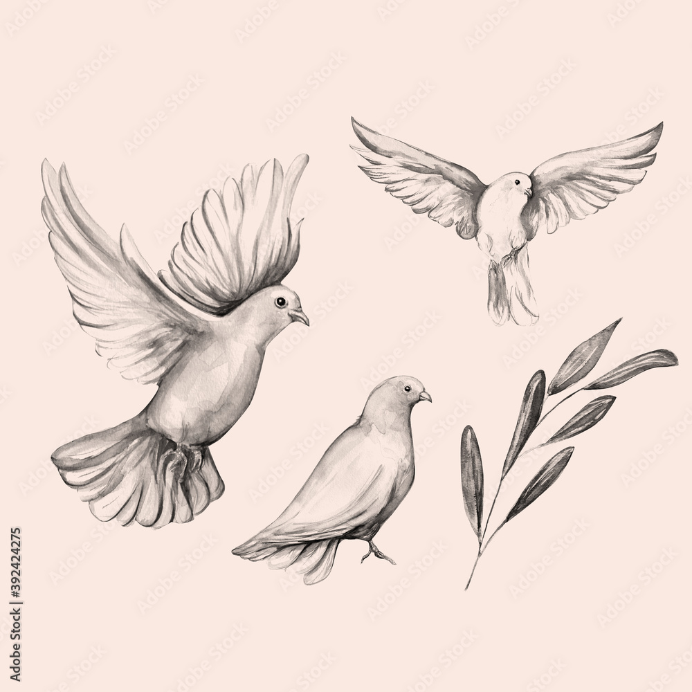 Peace bird, dove, art, water color drawing Peace bird, dove, art, water color drawing