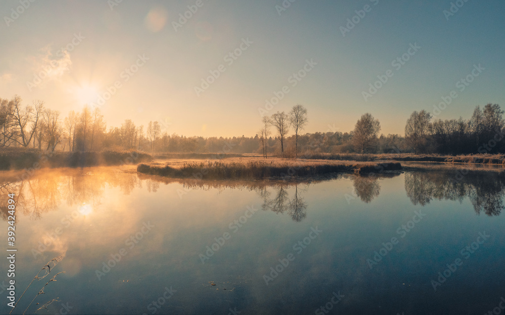 Sunny frosty morning on a foggy swamp. Soft focus.