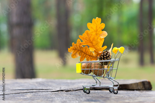 Miniature shopping cart with walnuts, a pine cone and oak leaves standing on a tree stump against a blurred autumn forest background. Wild life care concept.