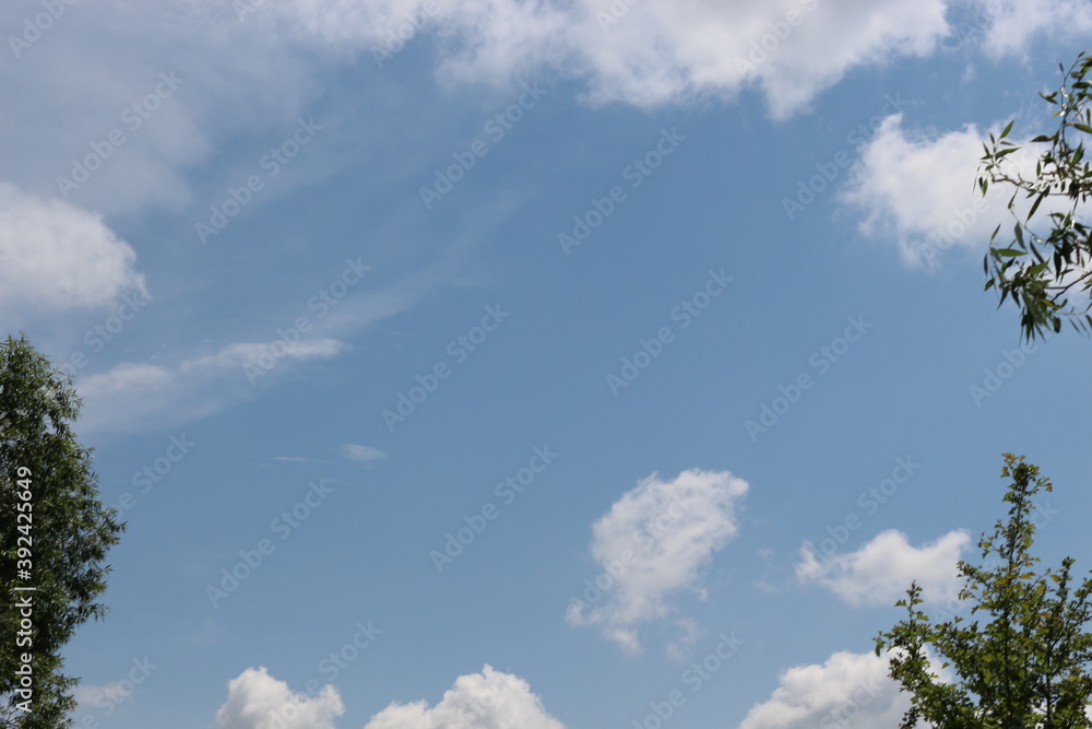 White clouds float across the blue summer sky
White clouds float across the blue summer sky