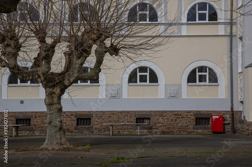 Closeup of a lifeless tree in front of a white house with arch windows photo