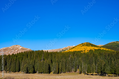 Obraz na płótnie autumn landscape with mountains w salonie
