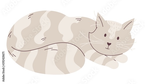 Little cat character. Striped kitten looking straight